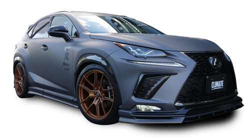 LEXUS NX300 F SPORT
